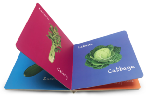 Read more about the article What Even is a Board Book?￼
